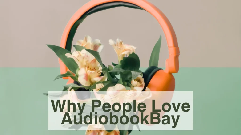 Why People Love AudiobookBay