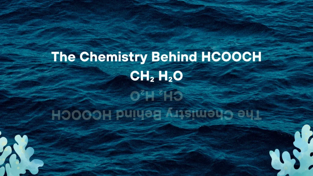 The Chemistry Behind HCOOCH CH₂ H₂O