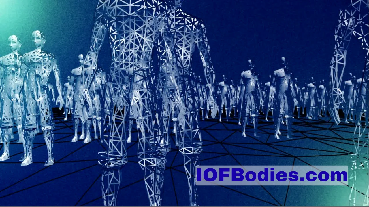 IOFBodies.com