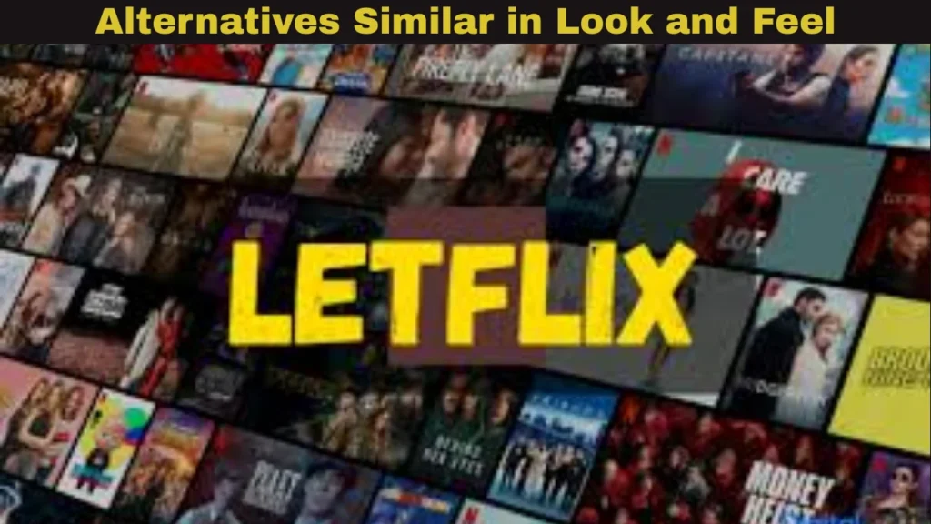 Letflix Alternative and Alternatives Similar in Look and Feel
